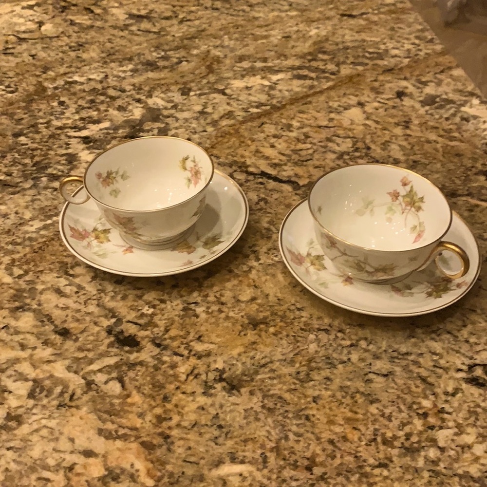 AUTUMN LEAF TEA CUP AND SAUCER HAVILAND LIMOGES